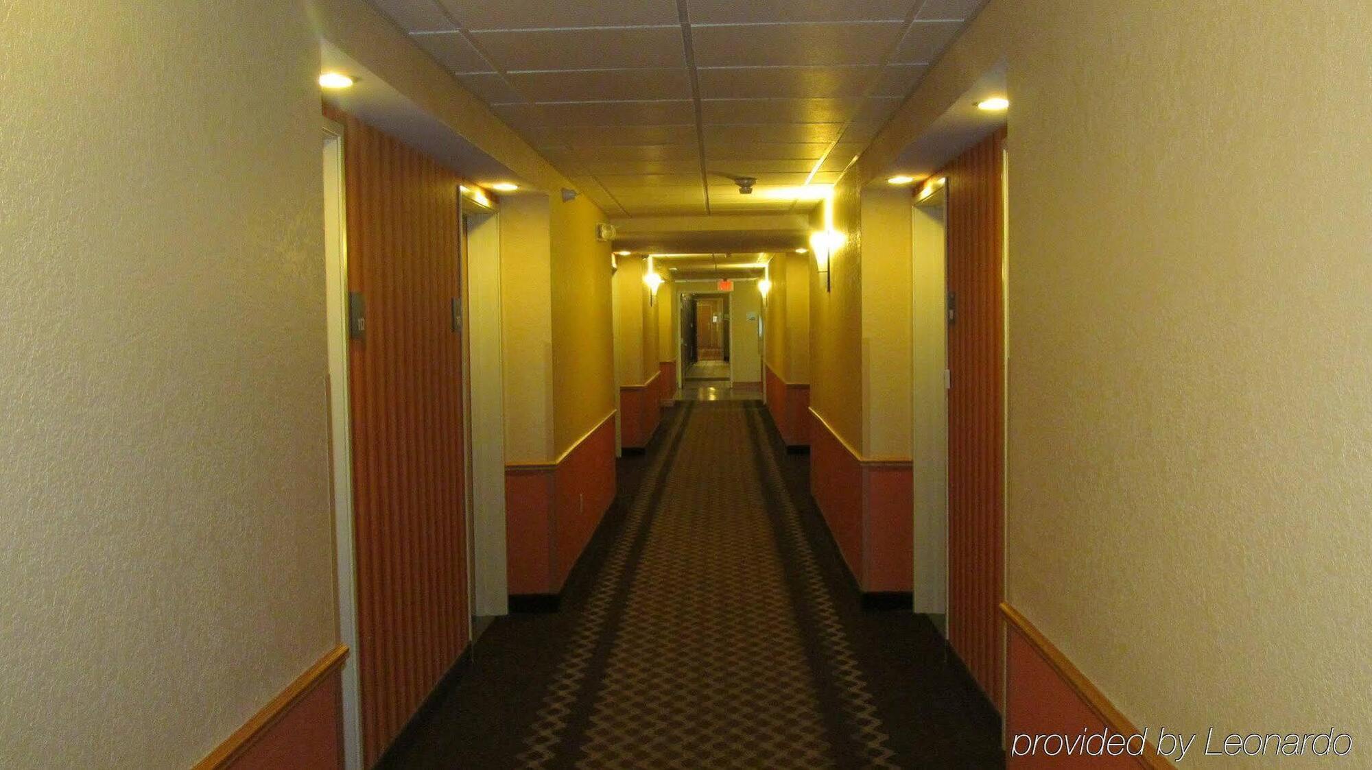 Holiday Inn Express Hotel & Suites Lexington By Ihg Bagian luar foto